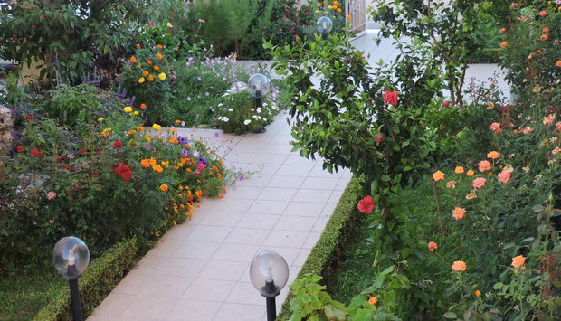 Golden Rose Suites